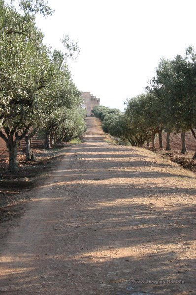 Photo 155.jpg - La ferme Pons-Acker-Hortola en 2007.