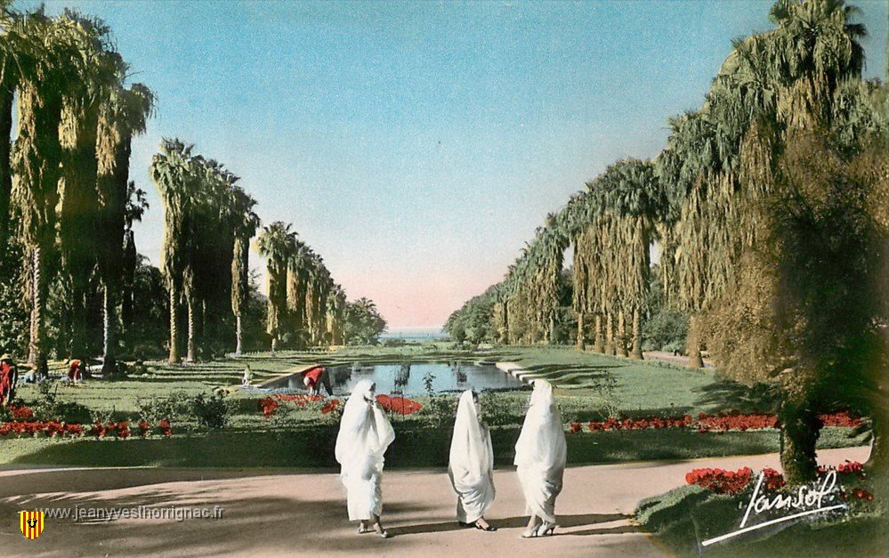 ALGERIE ALGER AU JARDIN D ESSAI CARTE DENTELEE.jpg - ALGER AU JARDIN D ESSAI 