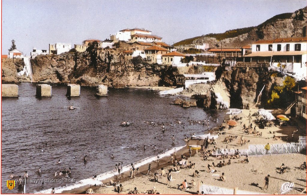 Alger en cartes postales 31.JPG - Plage d'Alger