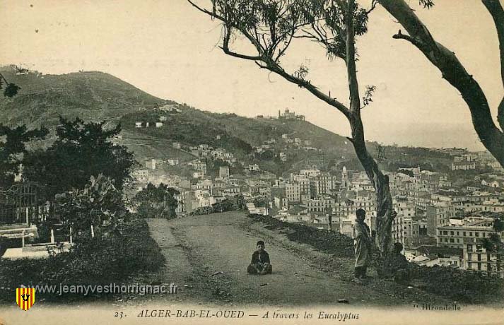 Bab el Oued  a travers les eucalyptus.jpeg - Bab el Oued  à travers les Eucalyptus