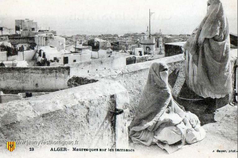 Mauresques sur les terrasses.jpeg - Mauresques sur les terrasses