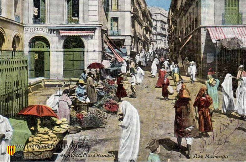 Place Randon et rue Marengo.jpeg - Vue dans le jardin d'essai.