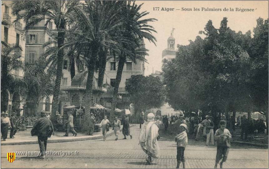 Sous les Palmiers de la Regence.jpeg - Sous les Palmiers de la Régence