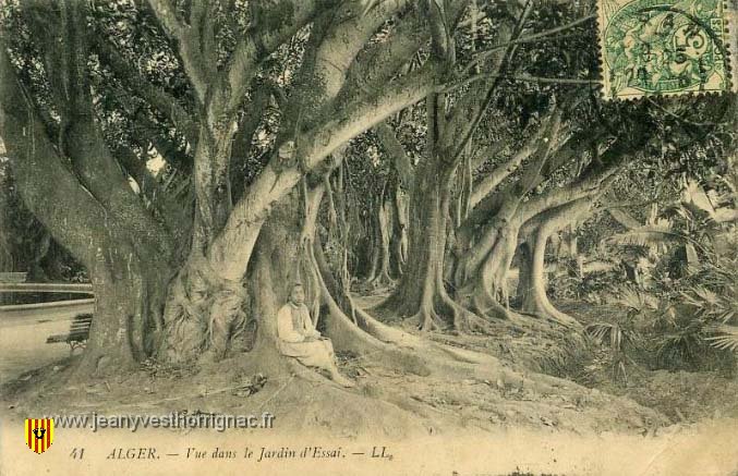 Vue dans le jardin d essai.jpeg - Vue dans le jardin d'essai.