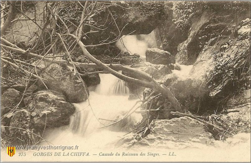 gorges de la Chiffa  cascade du ruisseua des singes.jpeg