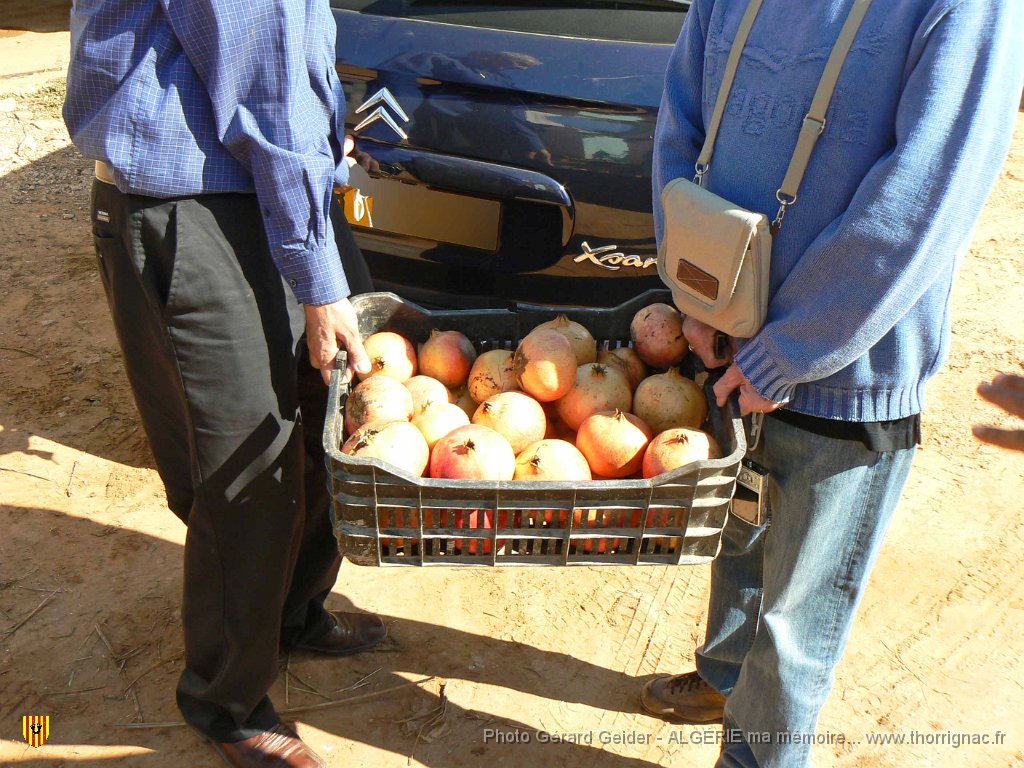 146.jpg - Un lot de grenades.