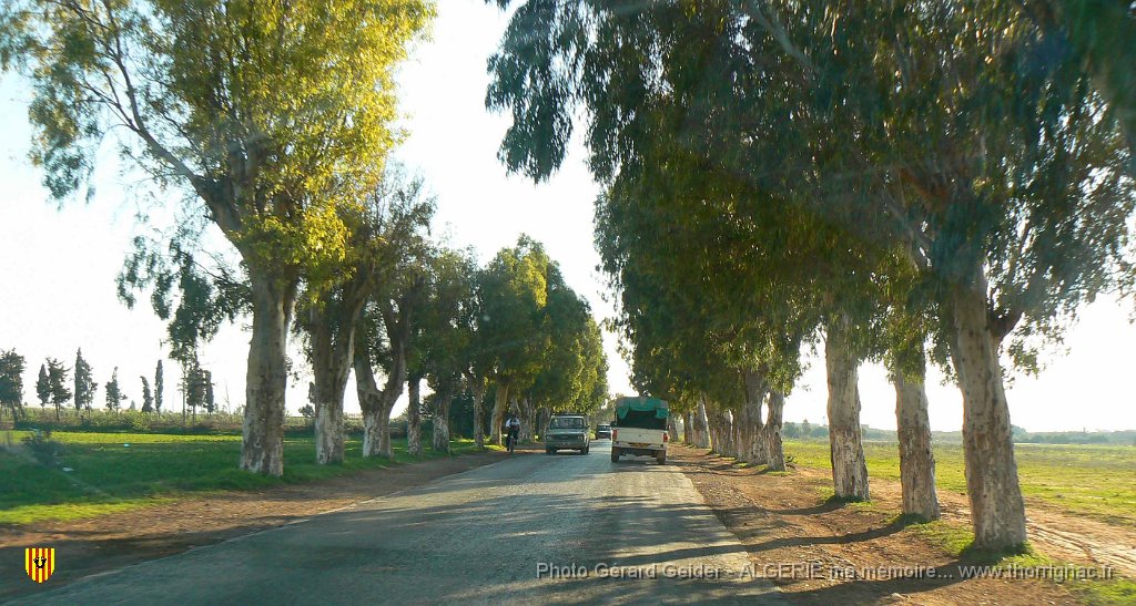 151 sortie fornaka vers la macta.jpg - Sortie de Fornaka vers la Macta.