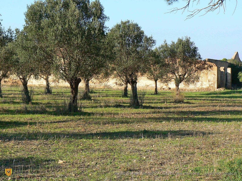 153.jpg - La ferme Ramond.