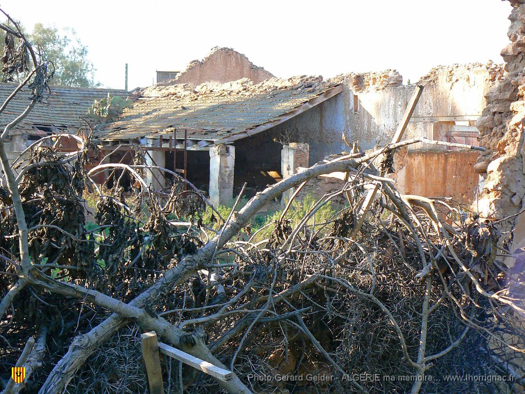 169.jpg - La ferme Ramond. 