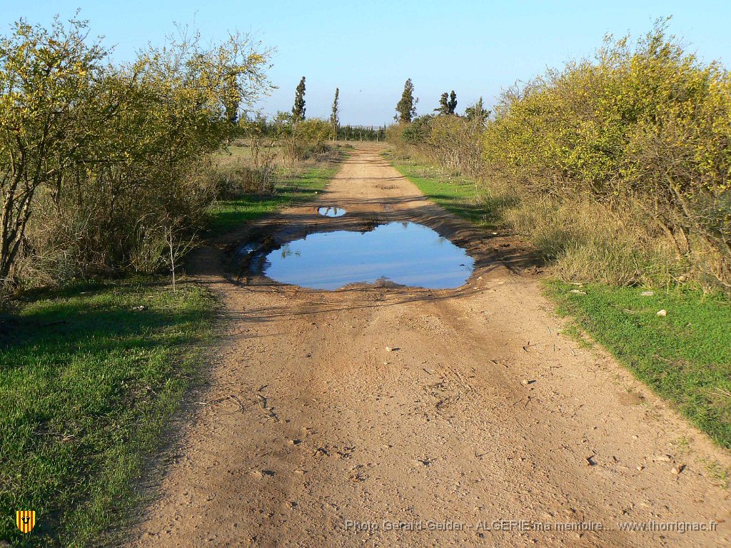 175 allee grenadiers.jpg - Allée de grenadiers.