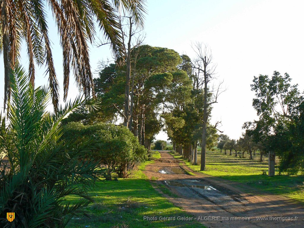 177.jpg - La ferme Ramond.