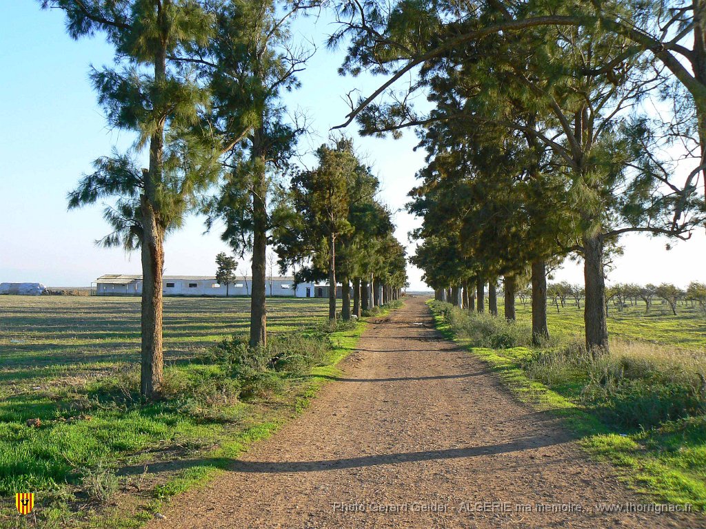 178 petite ferme.jpg - Petite ferme.