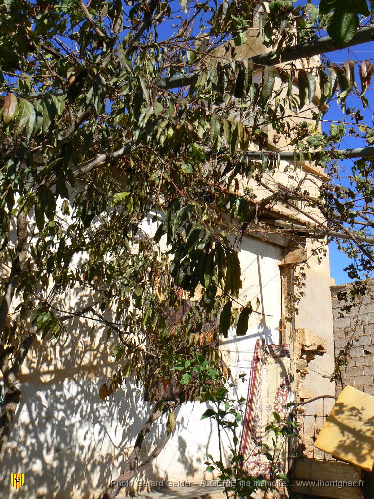 006a.jpg - La ferme Terpan.