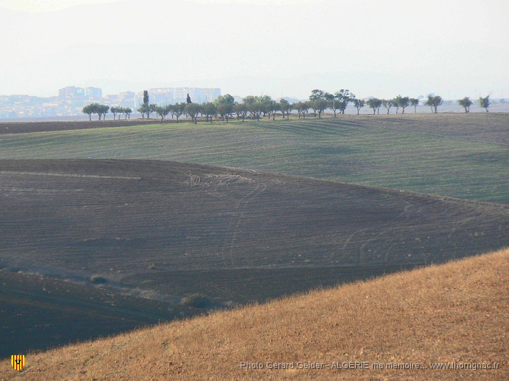 290 exferme geider derriere ain youcef.jpg - Emplacement de la ferme Geider : et derrière Aïn-Youcef.