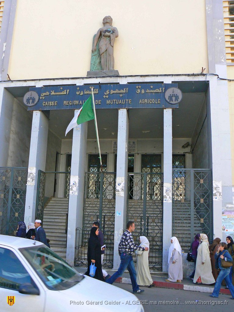 234 mison du colon.jpg - La maison du colon.