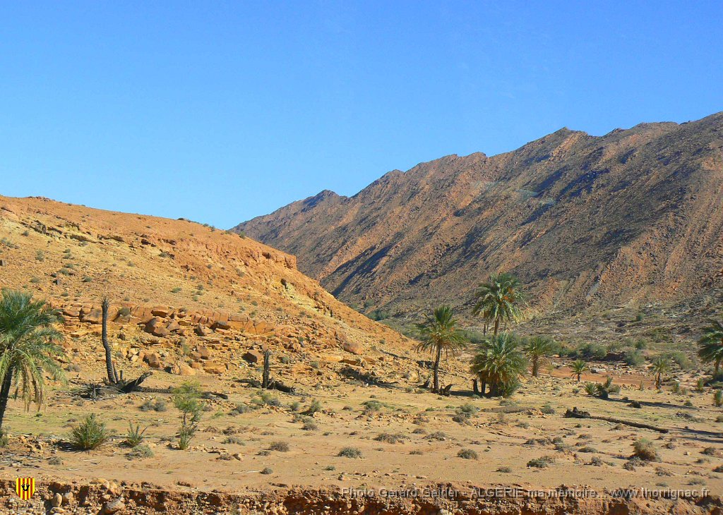 349.jpg - Sud-Oranais.