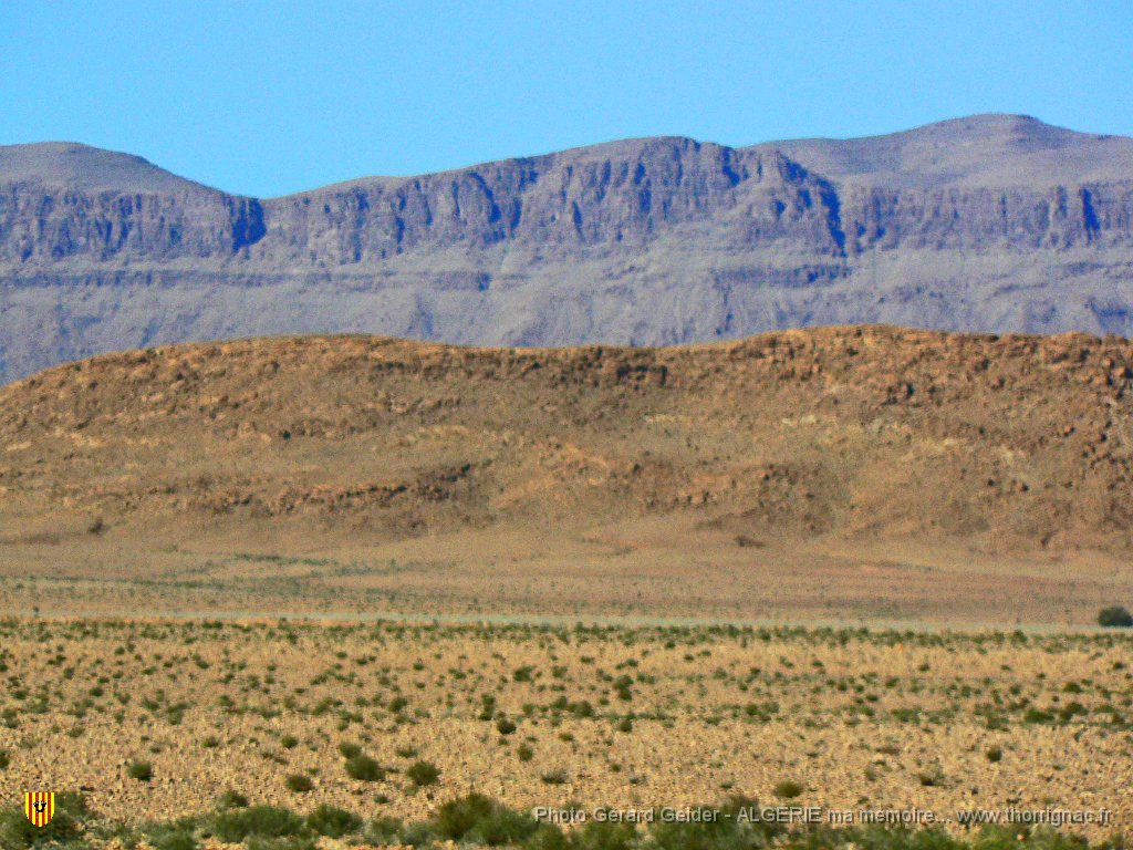 353.jpg - Sud-Oranais.