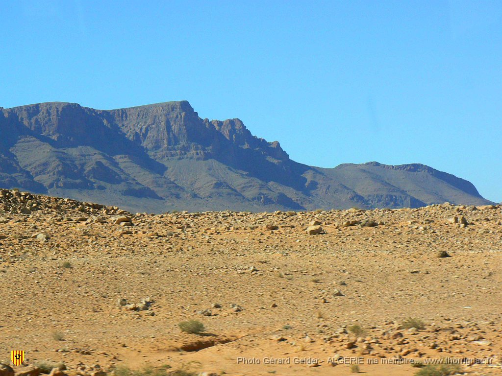 354.jpg - Sud-Oranais.