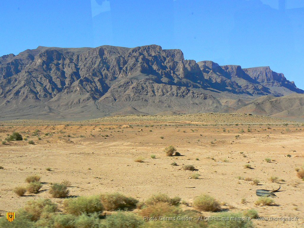 355.jpg - Sud-Oranais.