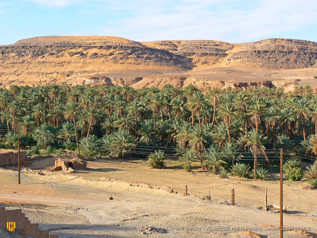 380  palmeraie en bas de l hotel.jpg - Palmeraie en bas de l'hôtel.