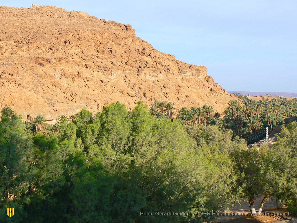 381.jpg - Palmeraie en bas de l'hôtel.