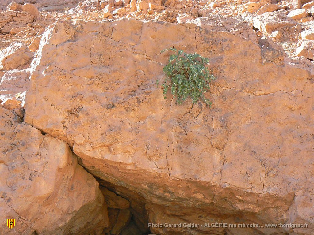 403 curieux.jpg - Curieux !!!