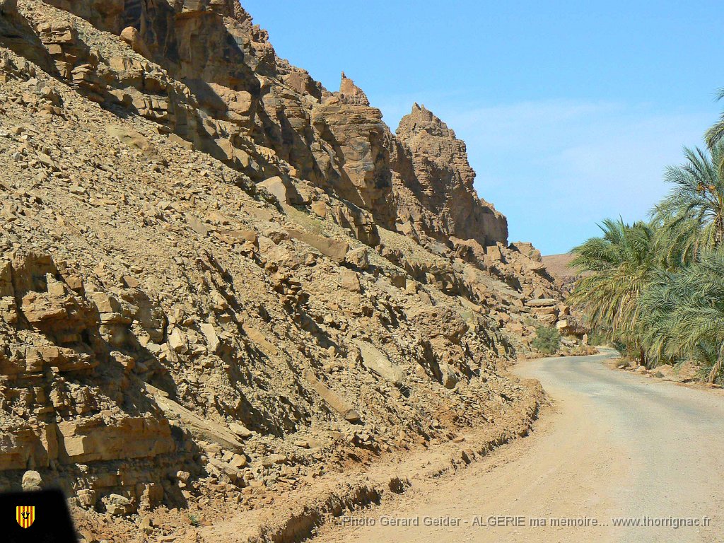 404.jpg - Palmeraie sur 13 km.