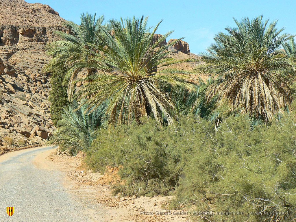 405 palmeraie sur 13 km.jpg - Palmeraie sur 13 km.