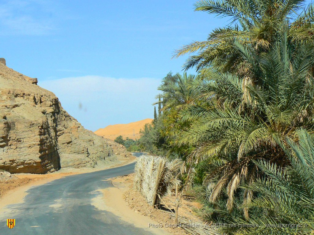 406.jpg - Palmeraie sur 13 km.