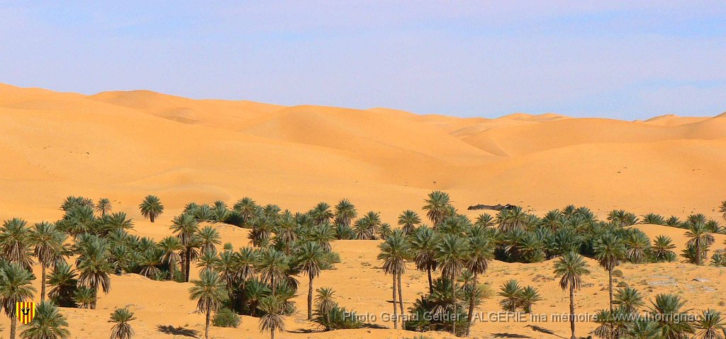 408.jpg - Palmeraie sur 13 km.