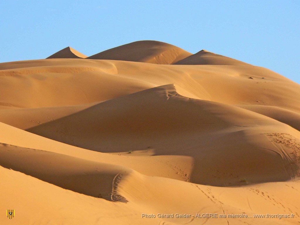 414.jpg - Les dunes.