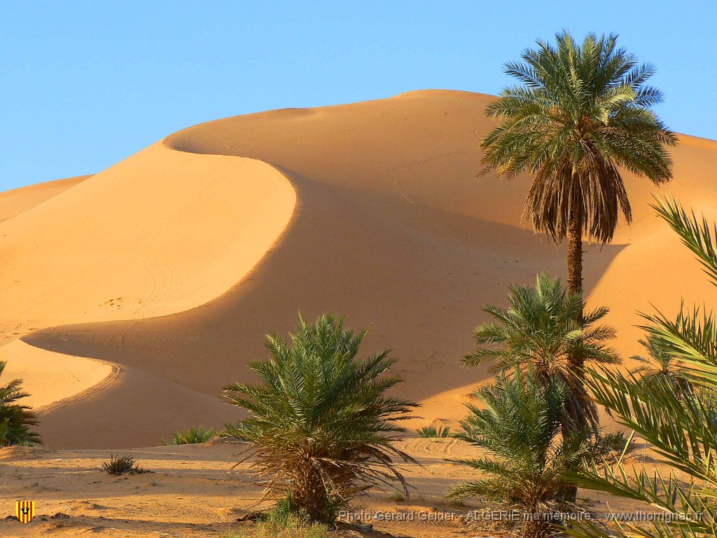 415.jpg - Dunes le long de la palmeraie.