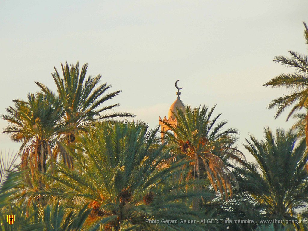 465.jpg - Coucher de soleil sur la palmeraie.