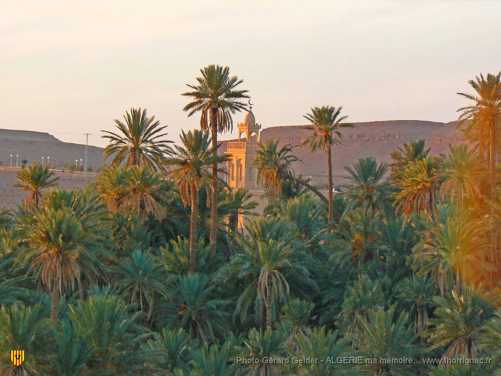 466.jpg - Coucher de soleil sur la palmeraie.