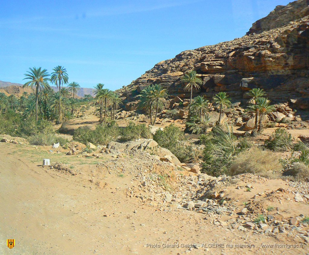 486.jpg - Paysage autour de la palmeraie.