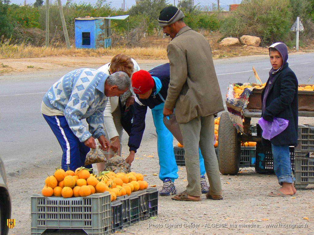 050.JPG - Etals d'oranges