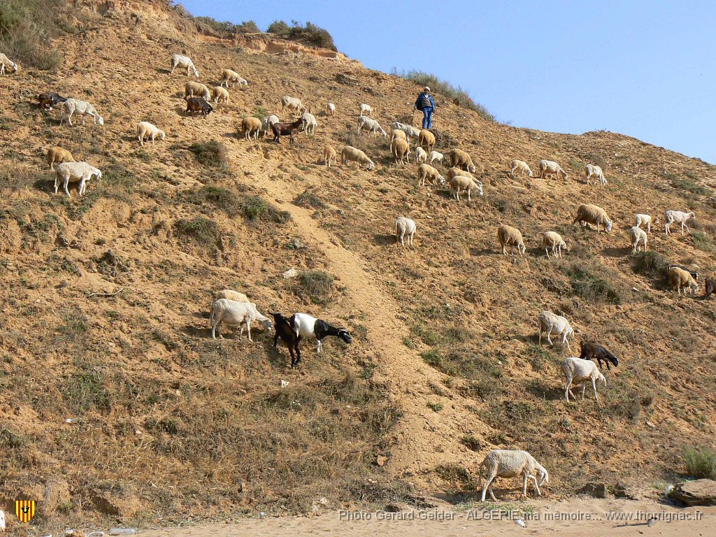 160 stidia plage.JPG - La Stidia.