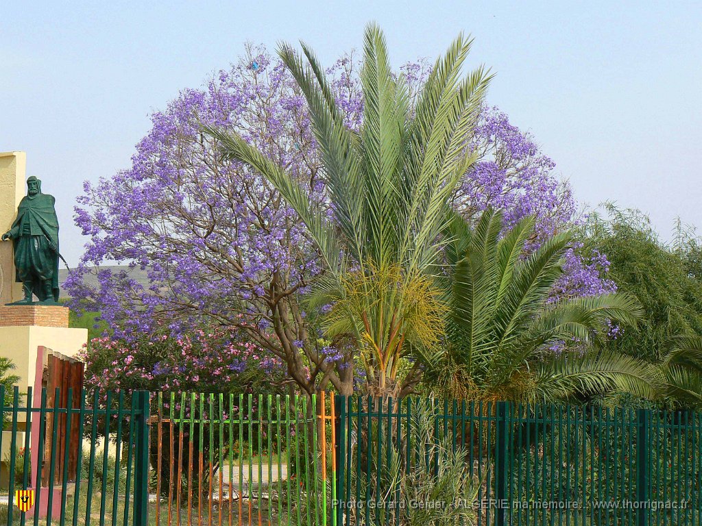 140 a Perregaux.JPG - Perrégaux.