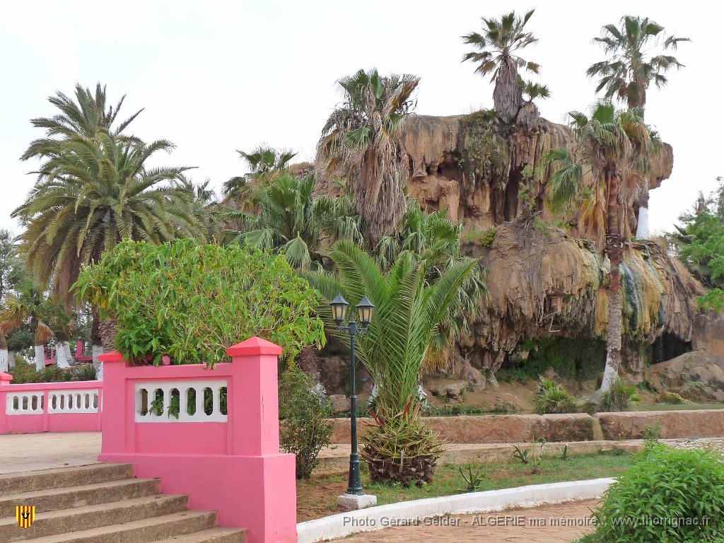 042 le petit vichy.JPG - Le petit Vichy.