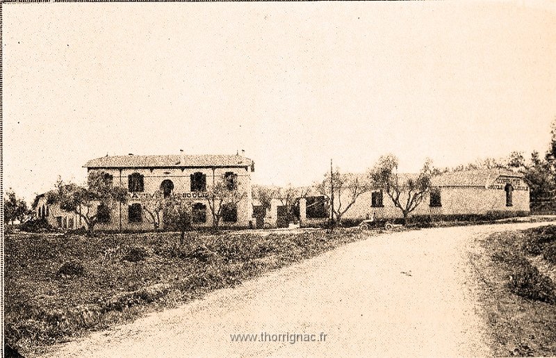 cooperative viti et olei.jpg - La cave coopérative