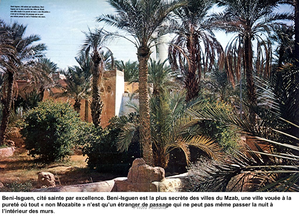 Beni Isguen N 341.jpg