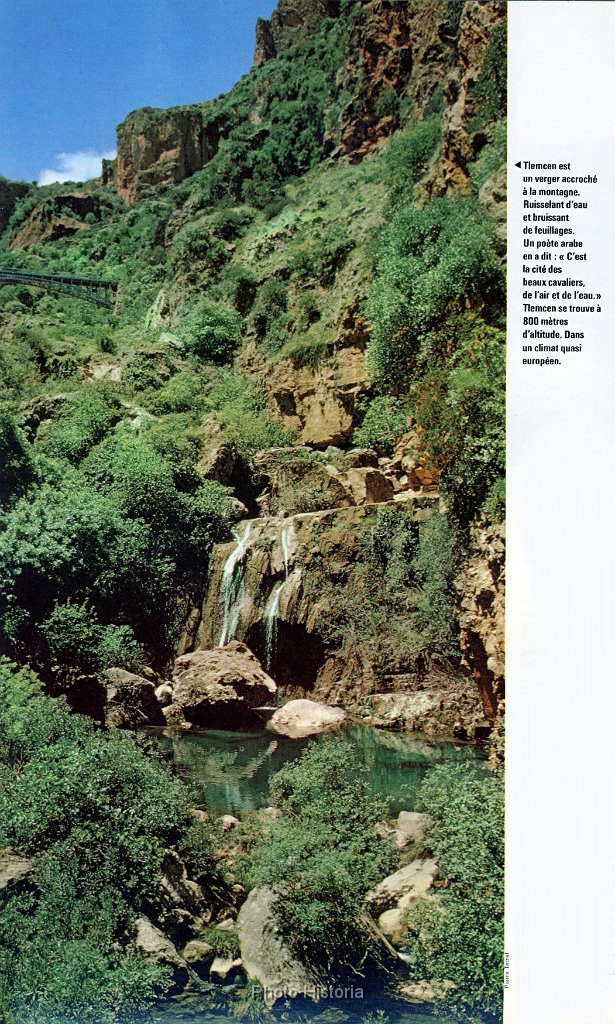 Cascade de Tlemcen N  215.jpg - Cascade de Tlemcen. N° 215