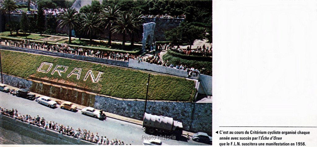 Criterium a Oran N  214.jpg - Criterium à Oran. N° 214