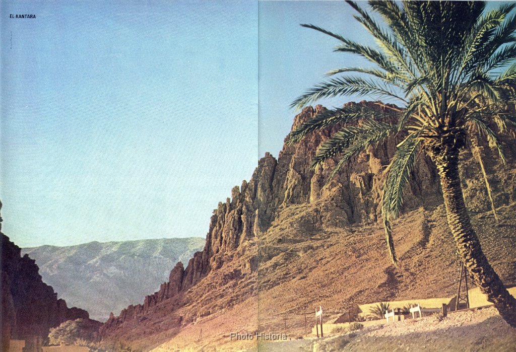 El Kantara N  359.jpg - El-Kantara. N° 359