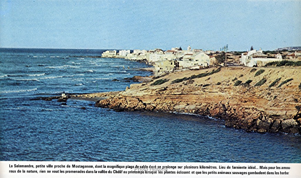 La salamandre N 351.jpg - La Salamandre. N° 351