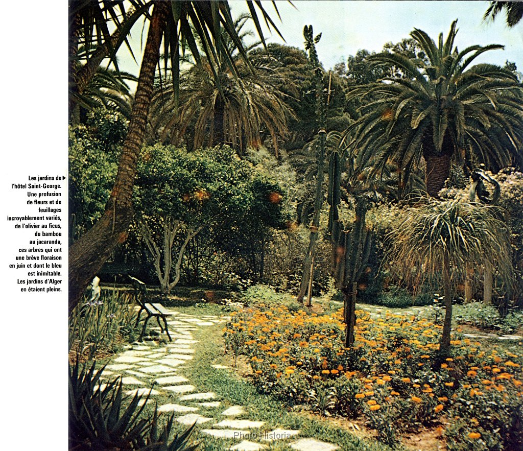 jardin de l hotel St georges Alger N 218.jpg - Jardin de l'hôtel St Georges à Alger. N° 218