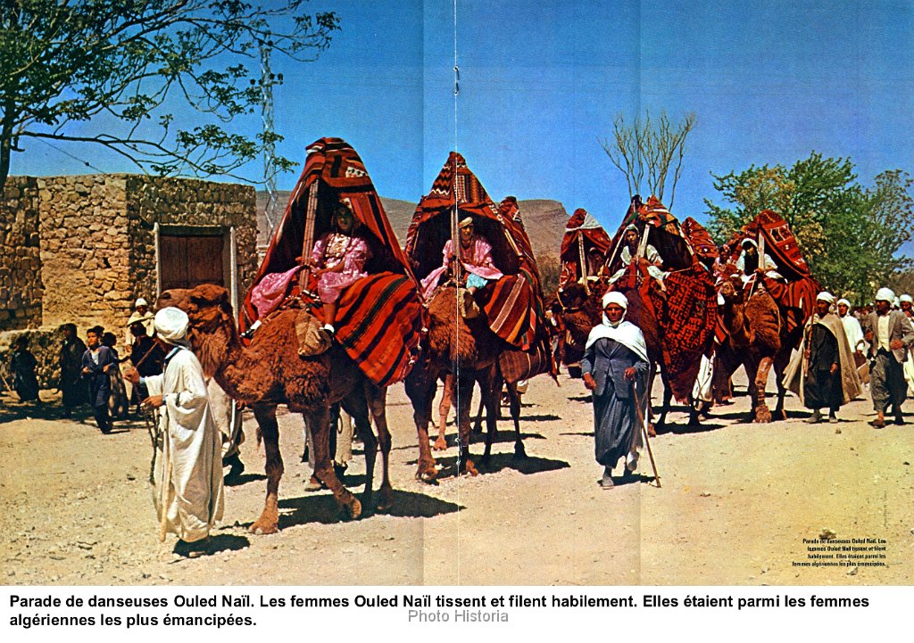parade de danseuses Ouled Nail N  277.jpg - Parade de danseues Naïl