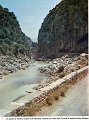 Gorges de Palestro N 275