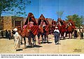 parade de danseuses Ouled Nail N  277