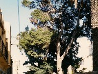 Photos Renee Cerda 2009